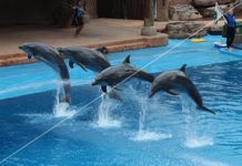 Wat zegt het aantal Hertz over de beeldkwaliteit? Refresh rate hertz