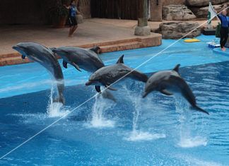 Wat zegt het aantal Hertz over de beeldkwaliteit? Refresh rate hertz