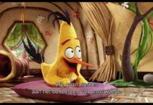 Filmreview: Angry Birds (Blu-ray 3D)