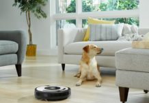 Zeven op tien Belgen moet extra stofzuigen door kat of hond irobot roomba robotstofzuiger huisdier
