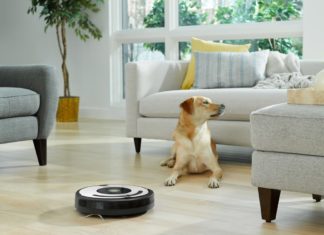 Zeven op tien Belgen moet extra stofzuigen door kat of hond irobot roomba robotstofzuiger huisdier