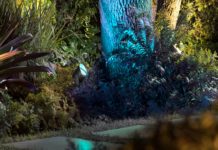 Meer tuinverlichting in Philips Hue gamma voor 2020 Philips Hue Lily XL