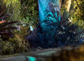 Meer tuinverlichting in Philips Hue gamma voor 2020 Philips Hue Lily XL